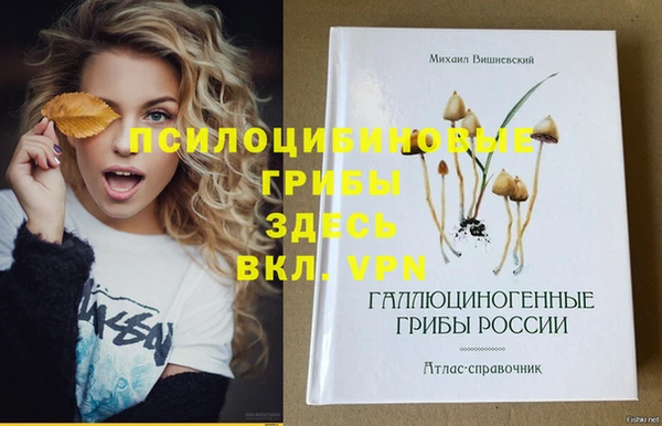 mix Аркадак
