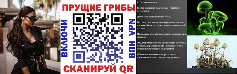 Псилоцибиновые грибы прущие грибы  omg ссылки  Сланцы 